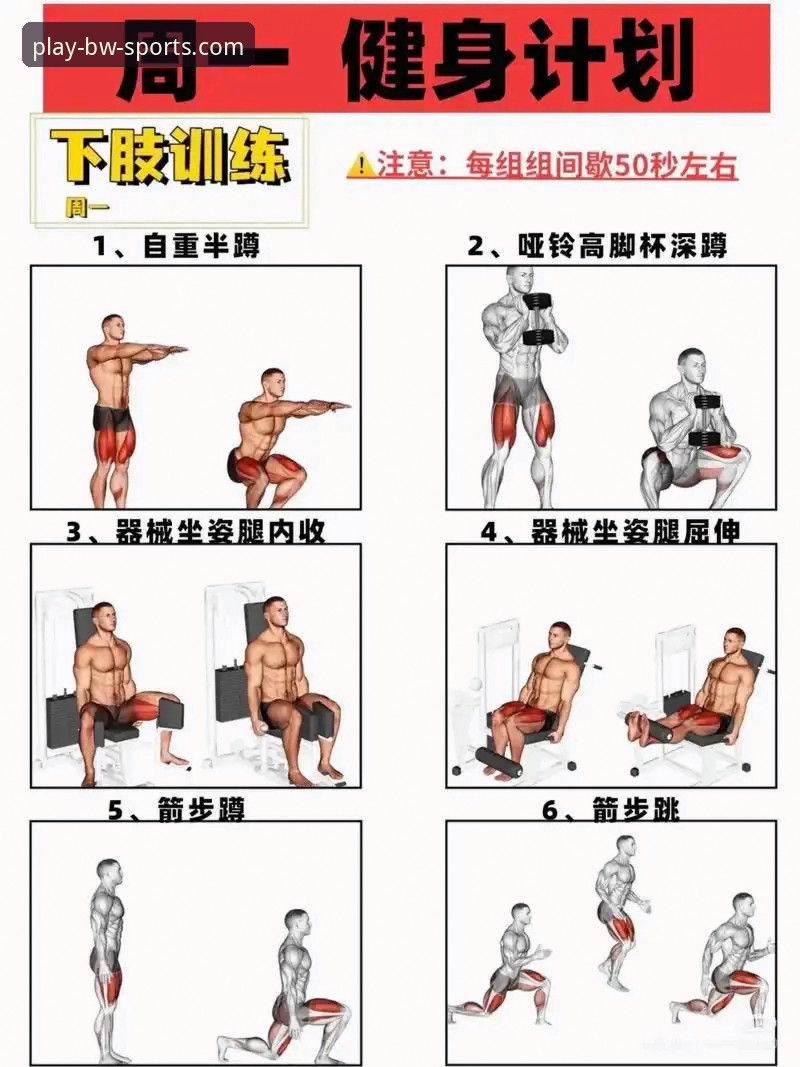 掌握宝威体育的7个实用技巧，从新手到达人的进阶指南